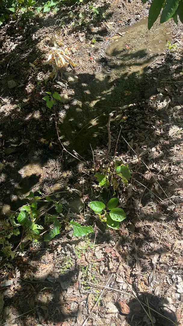 Terreni e lotti in vendita a Nigüelas, imagen 9