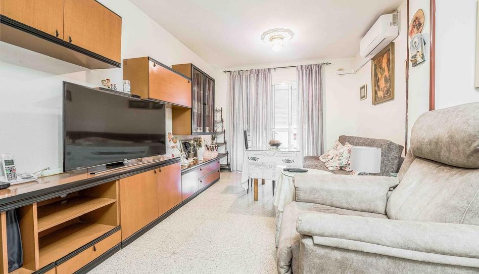 Photo 1 of Flat for sale in  Manuel Fal Conde 10, La Oliva, Sevilla