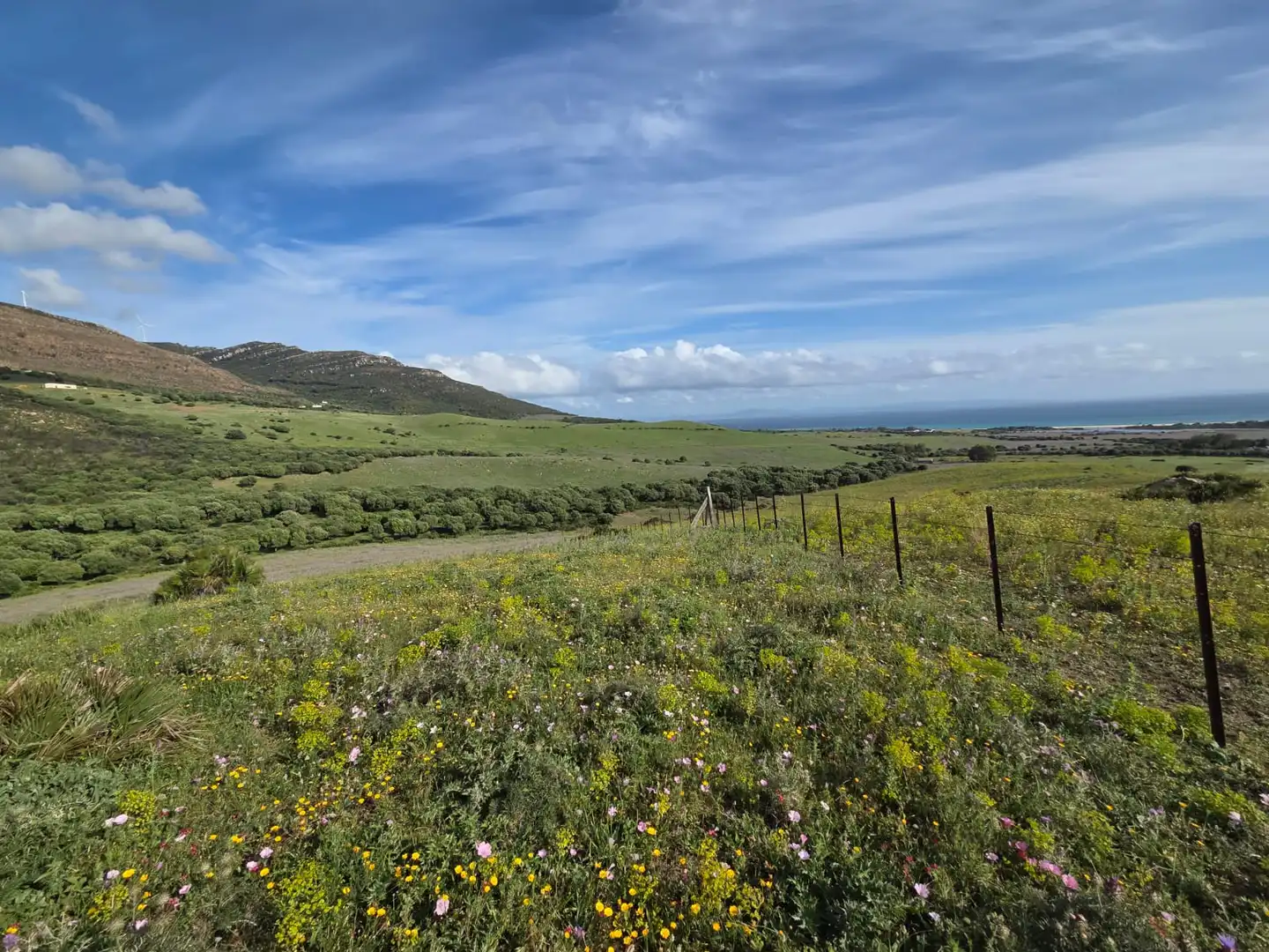Vista exterior de Terreno en venta en Tarifa