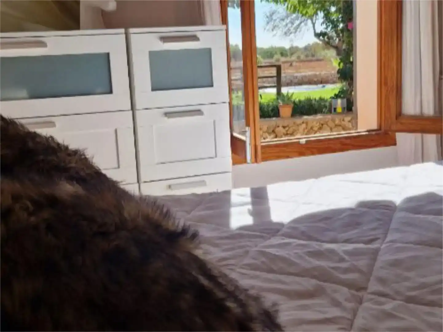 Dormitori de Casa o xalet de lloguer en Campos amb Piscina