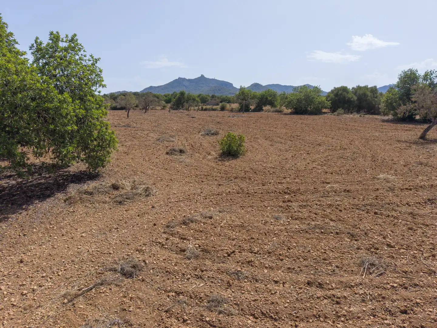 Lands and plots for sale in Felanitx Poble, imagen 8