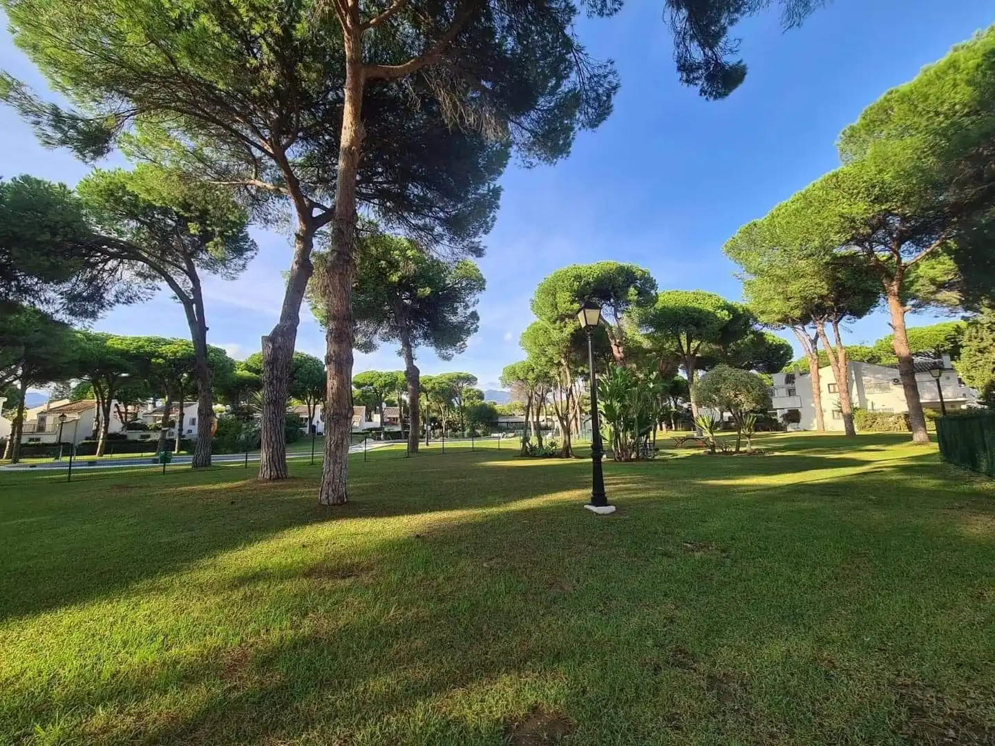 Vista exterior de Planta baja en venta en Estepona con Aire acondicionado, Trastero y Piscina