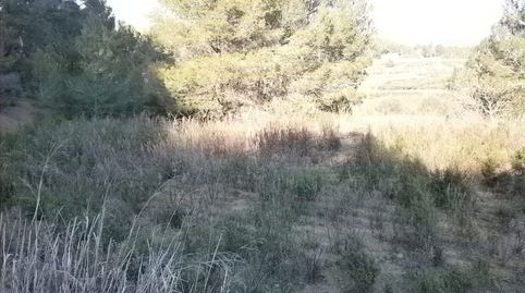 Imagen 3 del anuncio