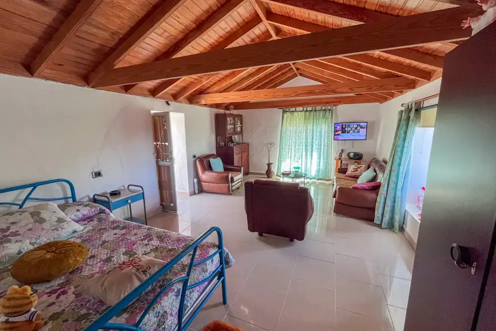 Sala de estar de Finca rústica en venta en Vallehermoso con Terraza