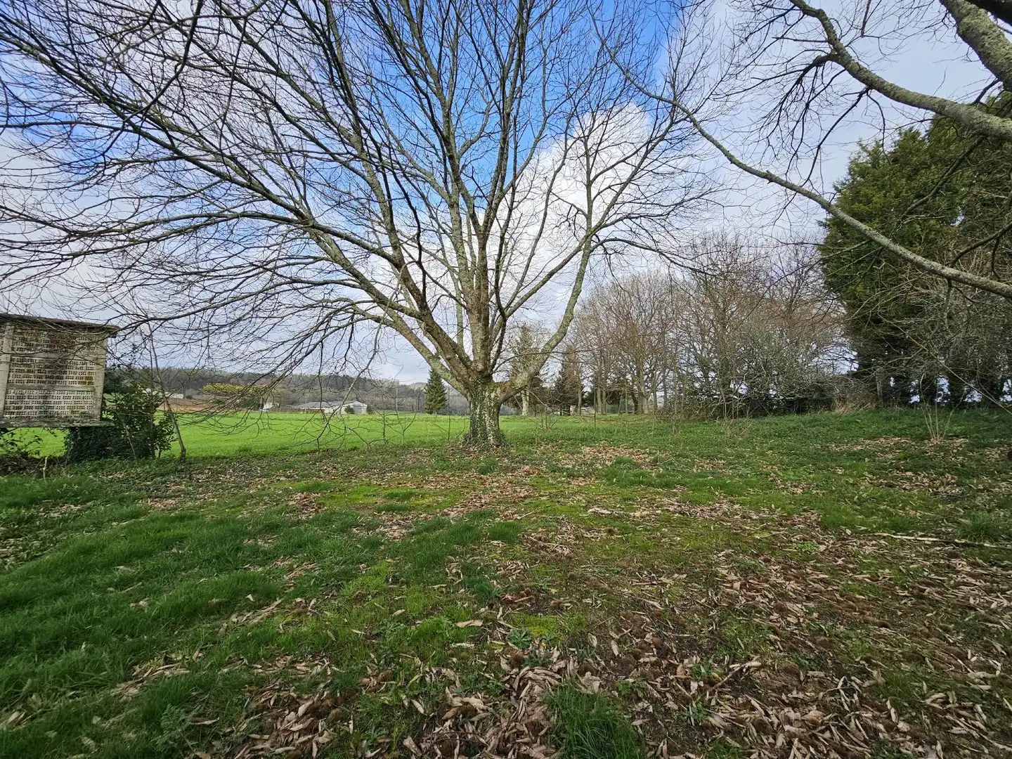 Finca rústica en venta en Abegondo