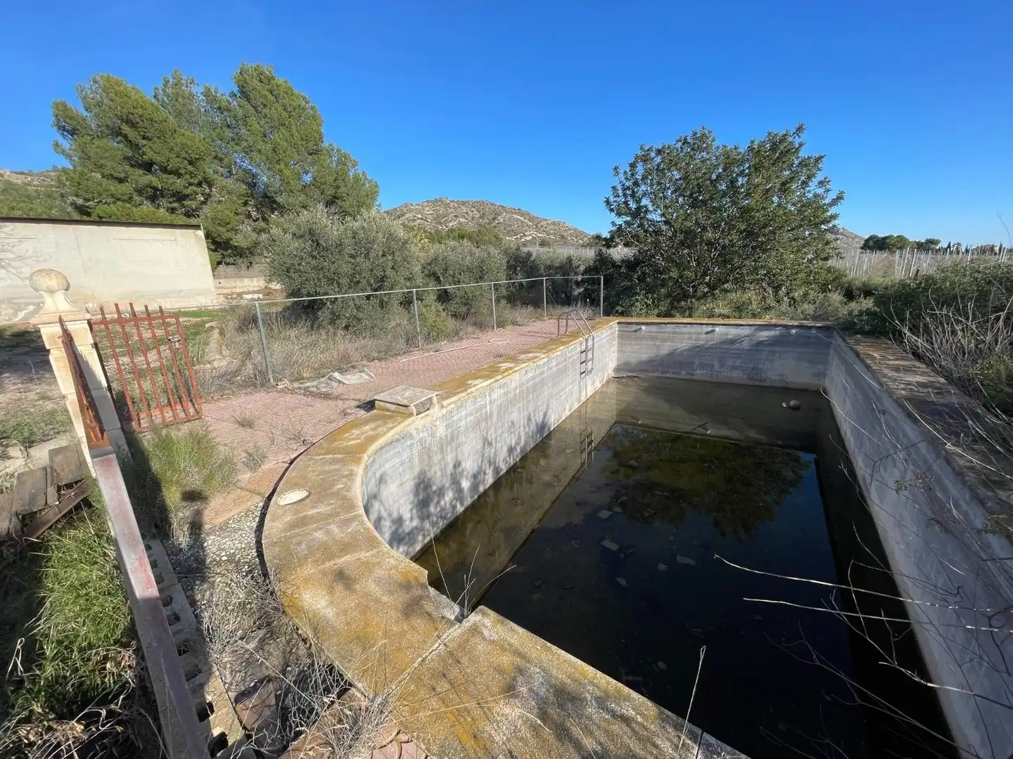 Swimming pool of Land for sale in Aspe