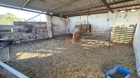 FINCA CON MÚLTIPLES POSIBILIDADES Y EXCELENTE UBICACIÓN!!, imatge 3
