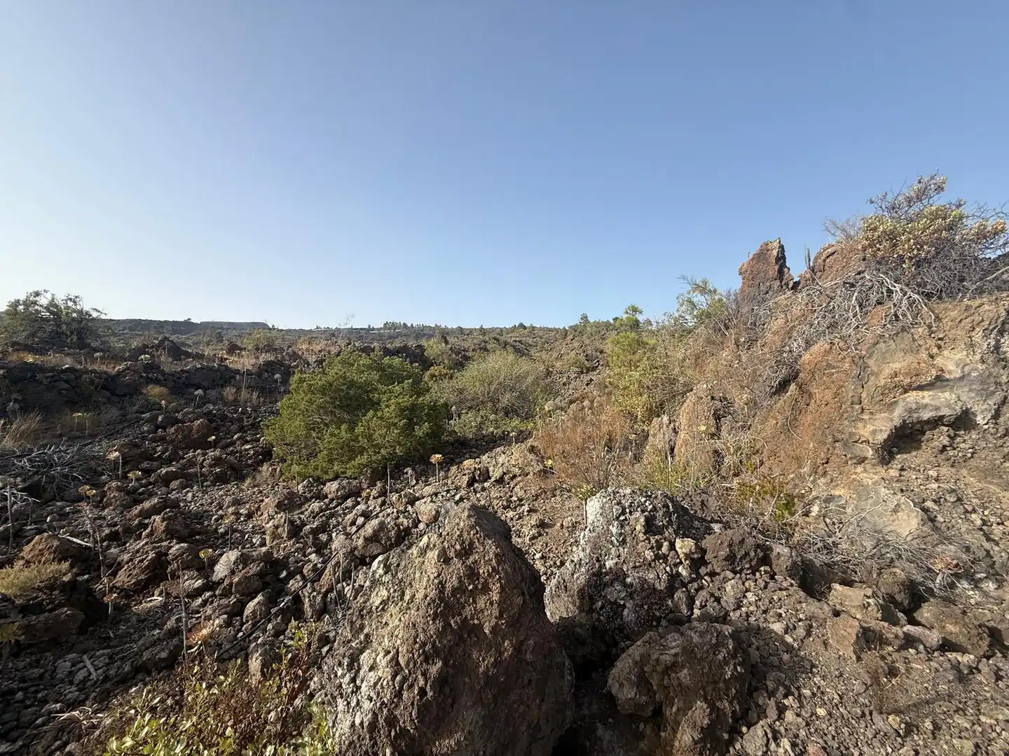 Rural land for sale in N/A, imagen 14