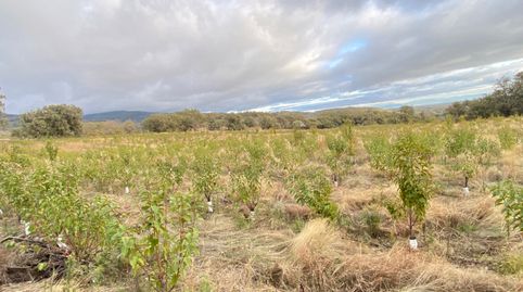 Foto 5 de Terreny en venda a N/a, Gargüera, Cáceres