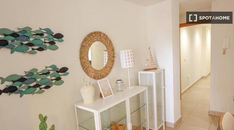 Photo 5 of Apartment to share in Campello Playa, Alicante