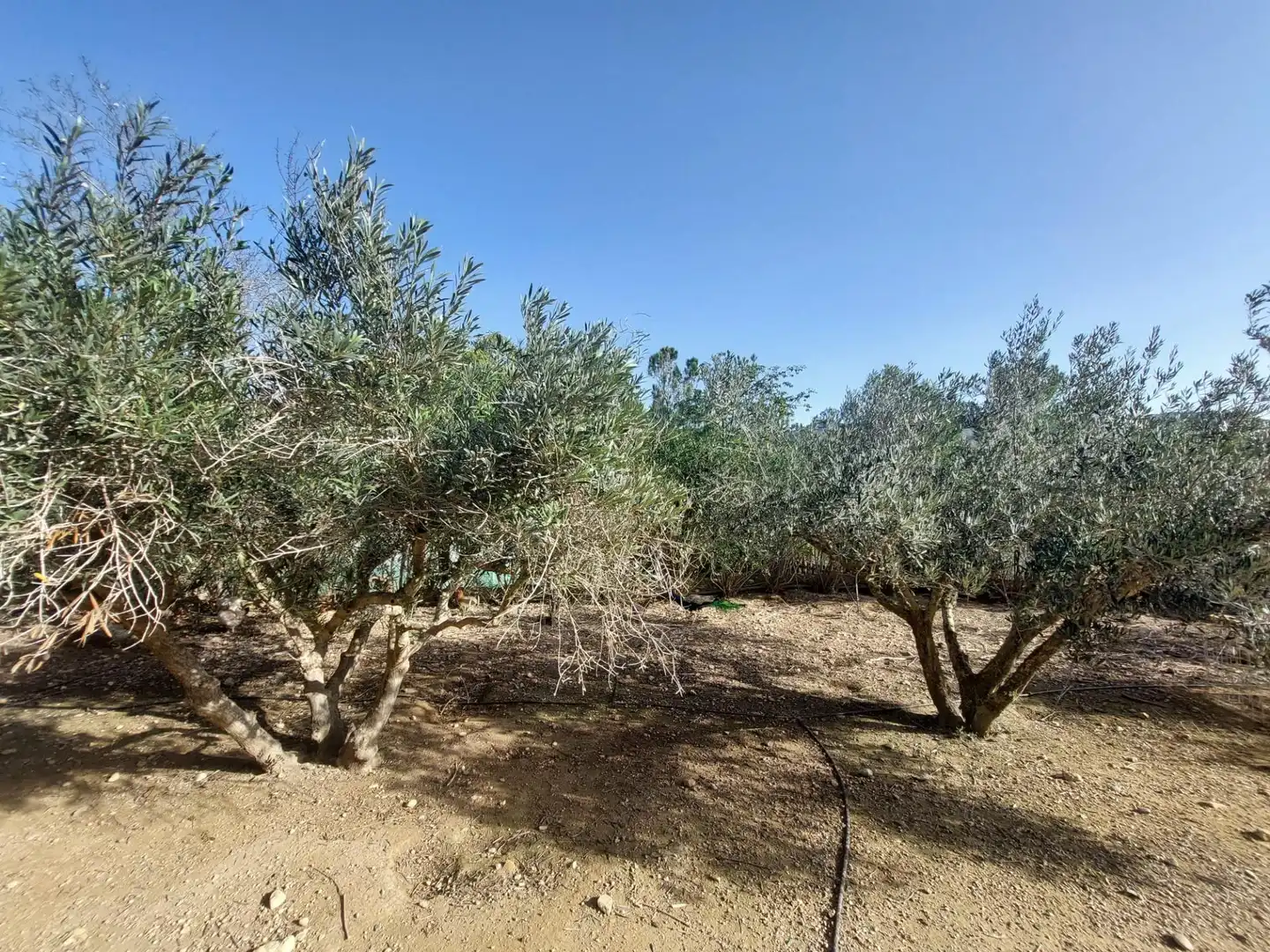 Country homes for sale in Murcia  with Air Conditioner, Heating and Private garden