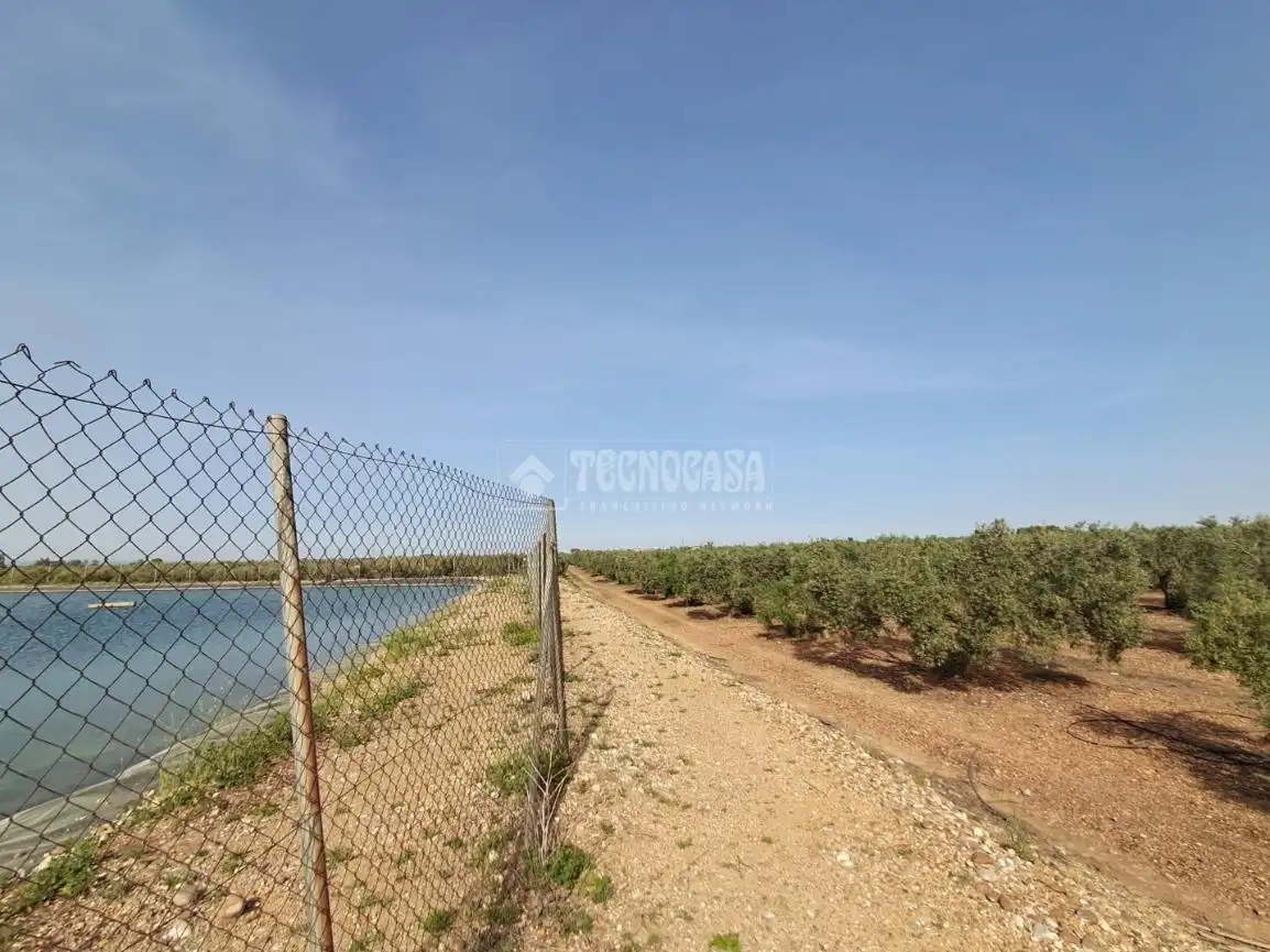 Terreno rustico in vendita a Carmona, imagen 5