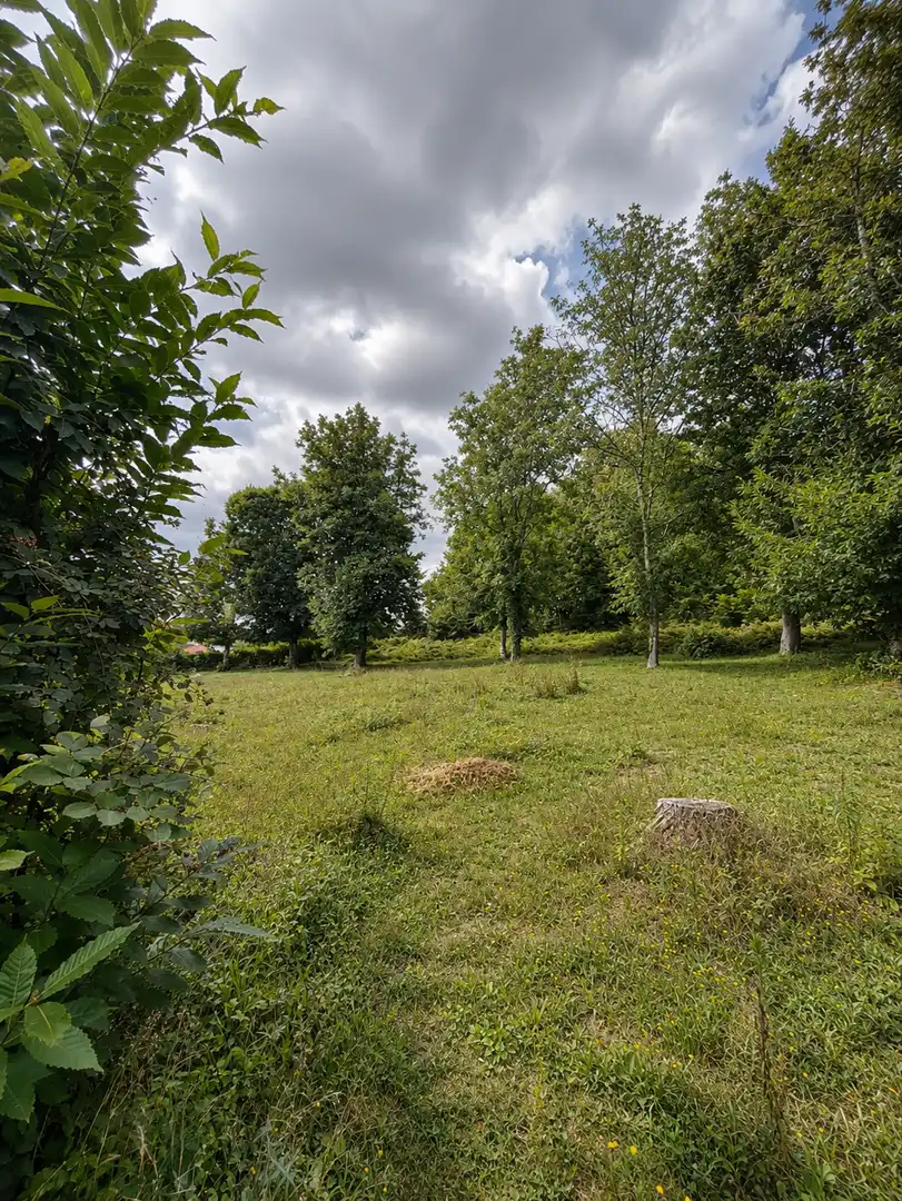 Maison avec jardin à vendre à Forcarei, imagen 28