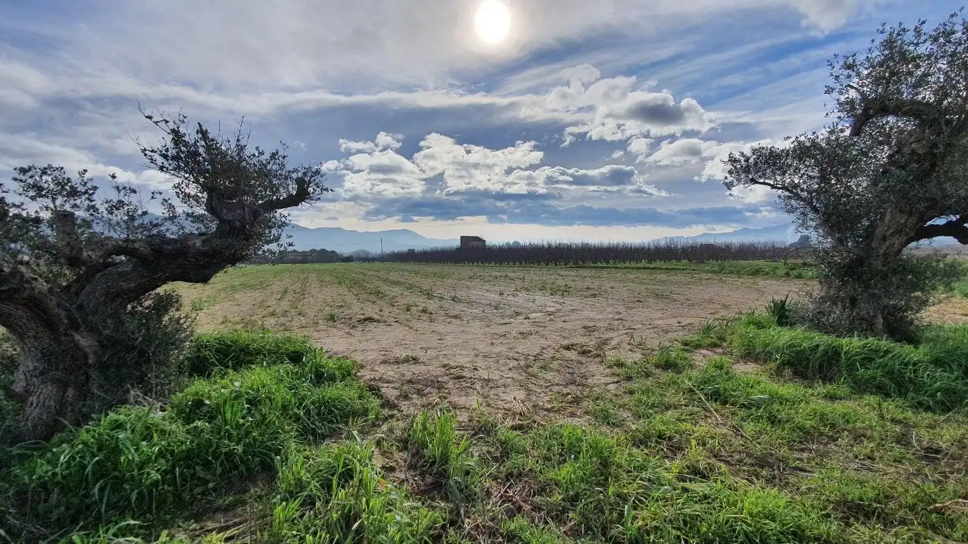 Casa o chalet en venta en Benissanet con Terraza