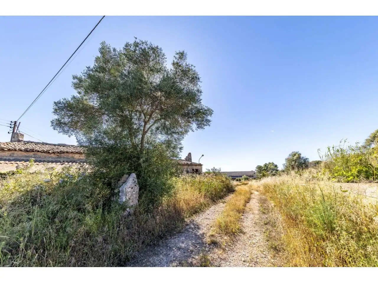 Terreno rustico in vendita a Llucmajor pueblo, imagen 47