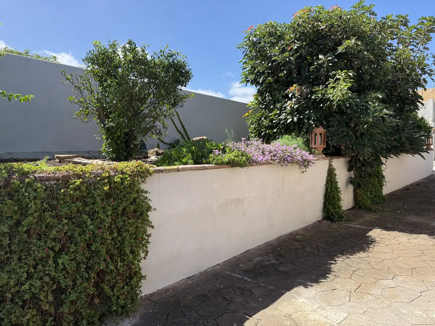 Vista exterior de Casa o chalet de alquiler en Tacoronte con Aire acondicionado, Jardín privado y Terraza
