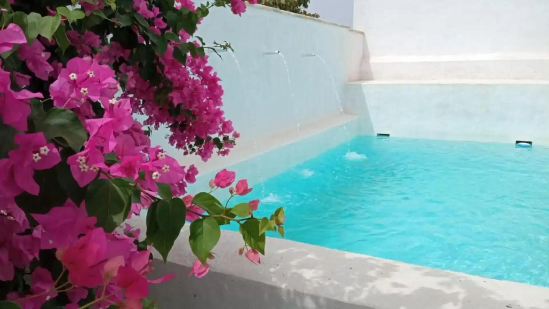Swimming pool of Houses for rent in La Soledad
