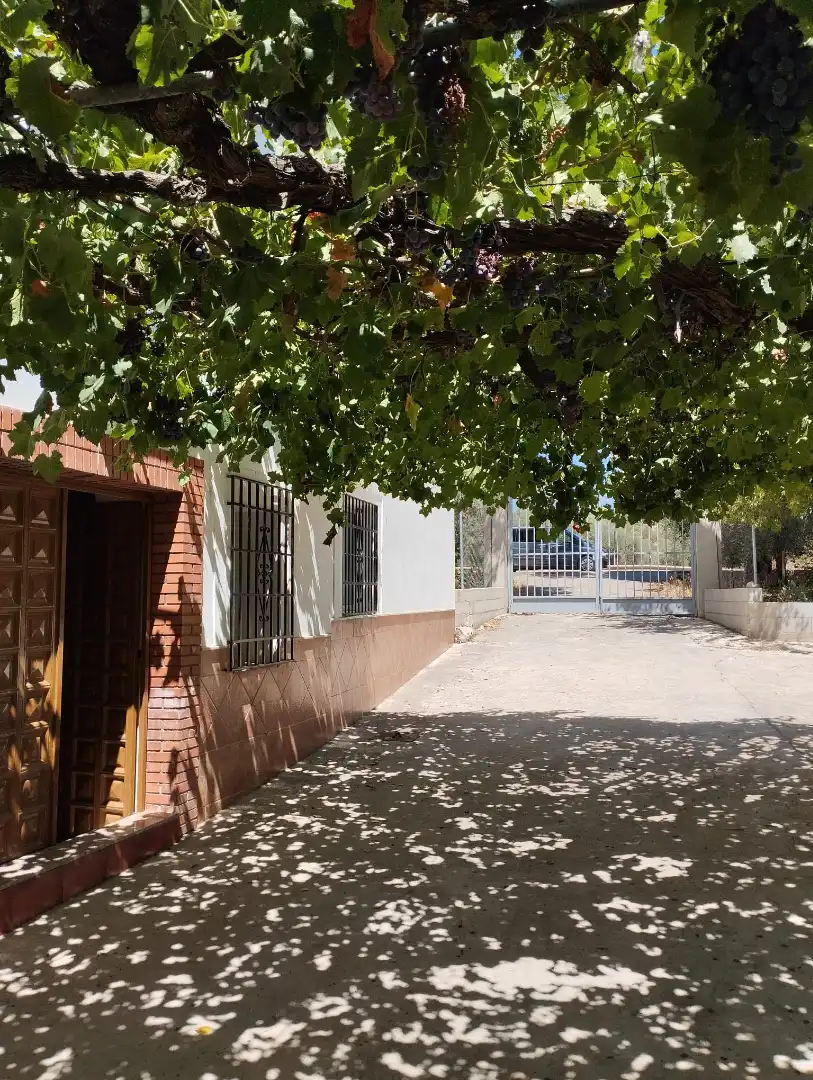 Vista exterior de Finca rústica en venta en Cabra con Jardín privado