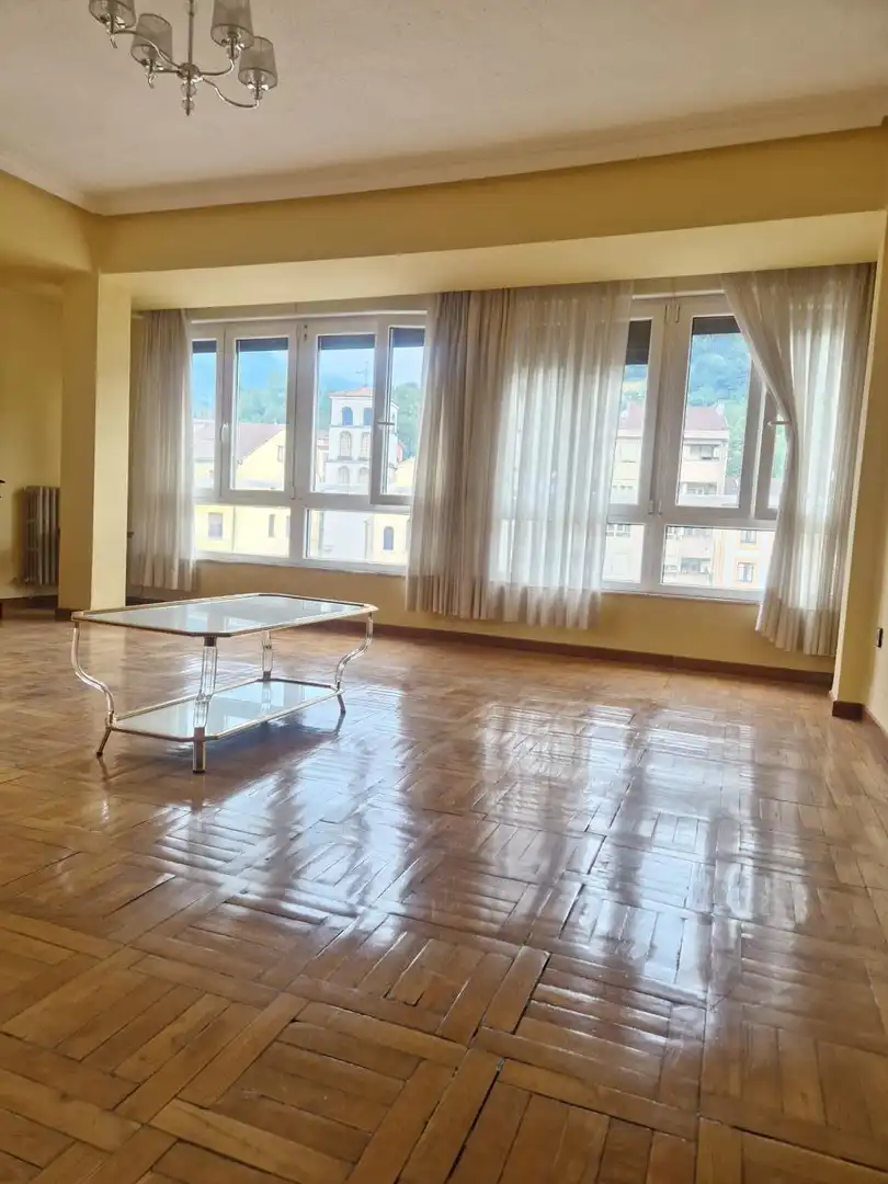 Sala d'estar de Pis en venda en Lena amb Calefacció, Parquet i Traster