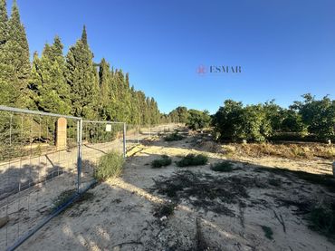 Lands and plots for sale in Algímia de Alfara