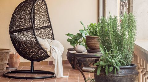 Photo 4 of Apartments for sale in El Terreno, Palma de Mallorca