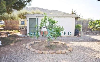 Jardí de Casa o xalet en venda en Fuente Álamo de Murcia amb Aire condicionat, Jardí privat i Terrassa