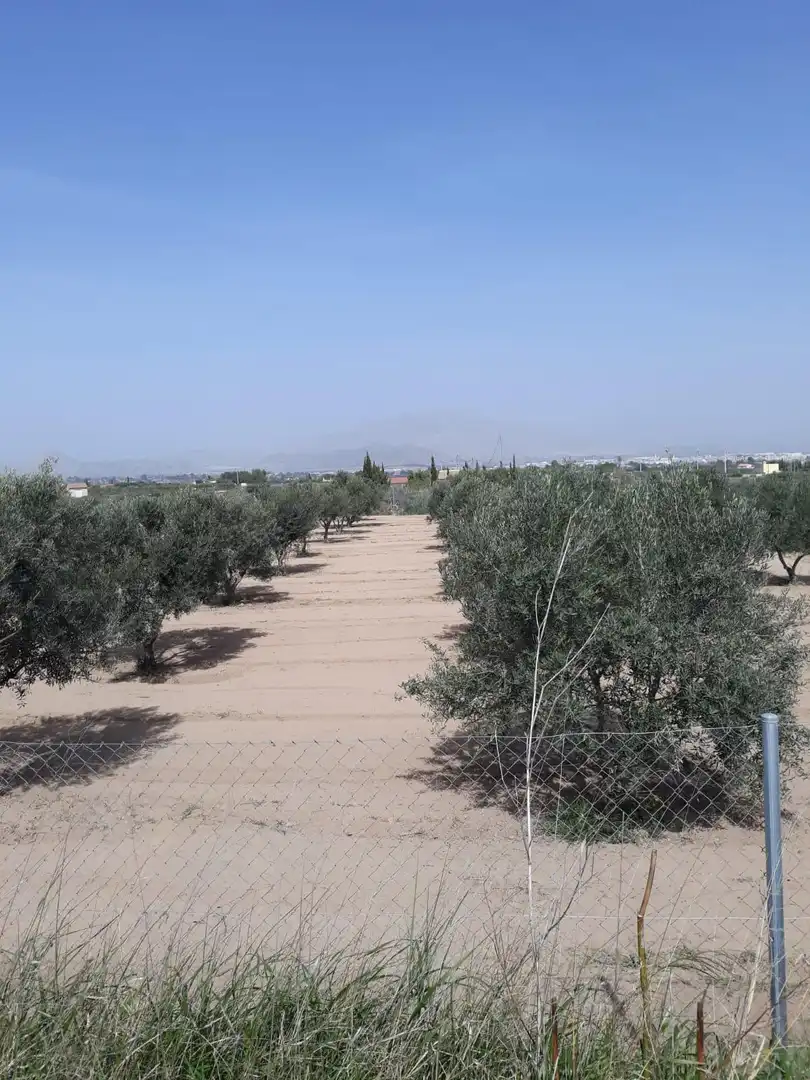Casa en venta en Camino de la noria de sargueta, imagen 7