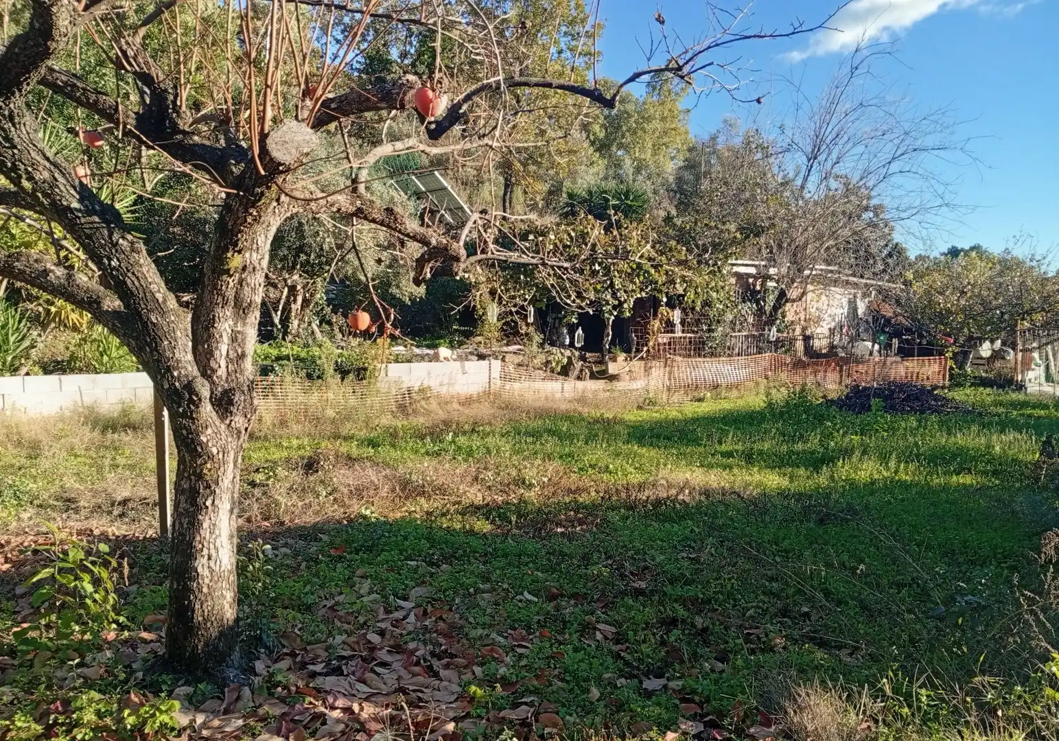 Terreni e lotti in vendita a Villanueva de la Vera, imagen 25