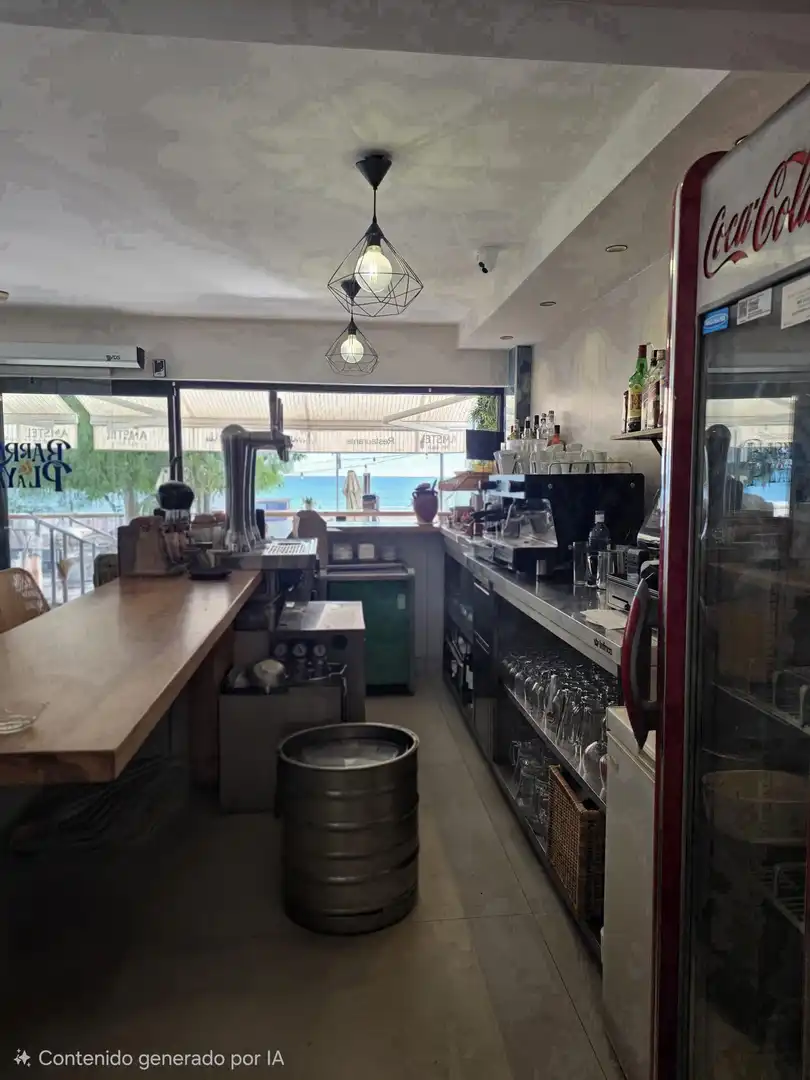 Commercial properties for sale in Playa Muchavista
