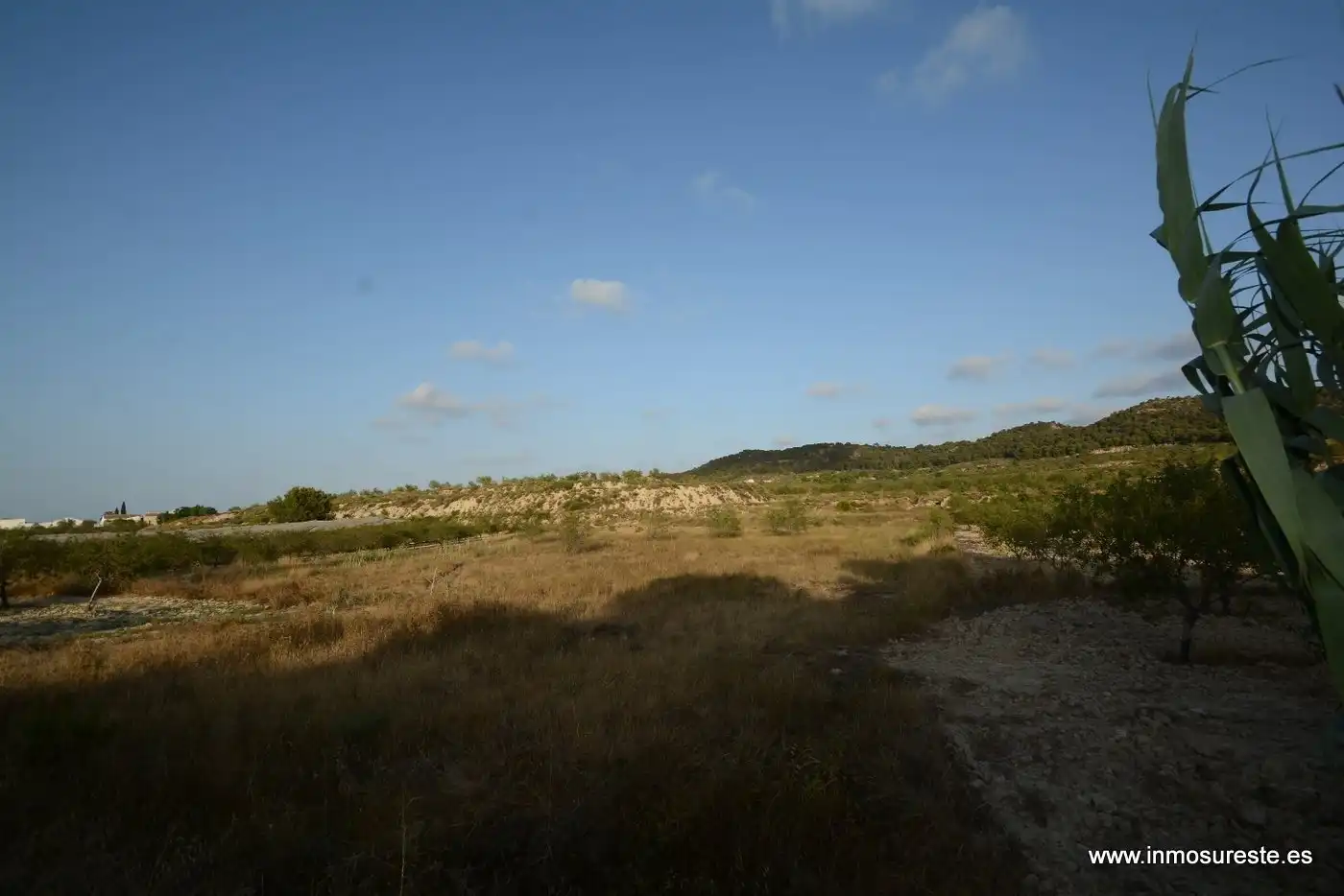 Terreno rústico en venta en Desamparados - Hurchillo - Torremendo, imagen 14