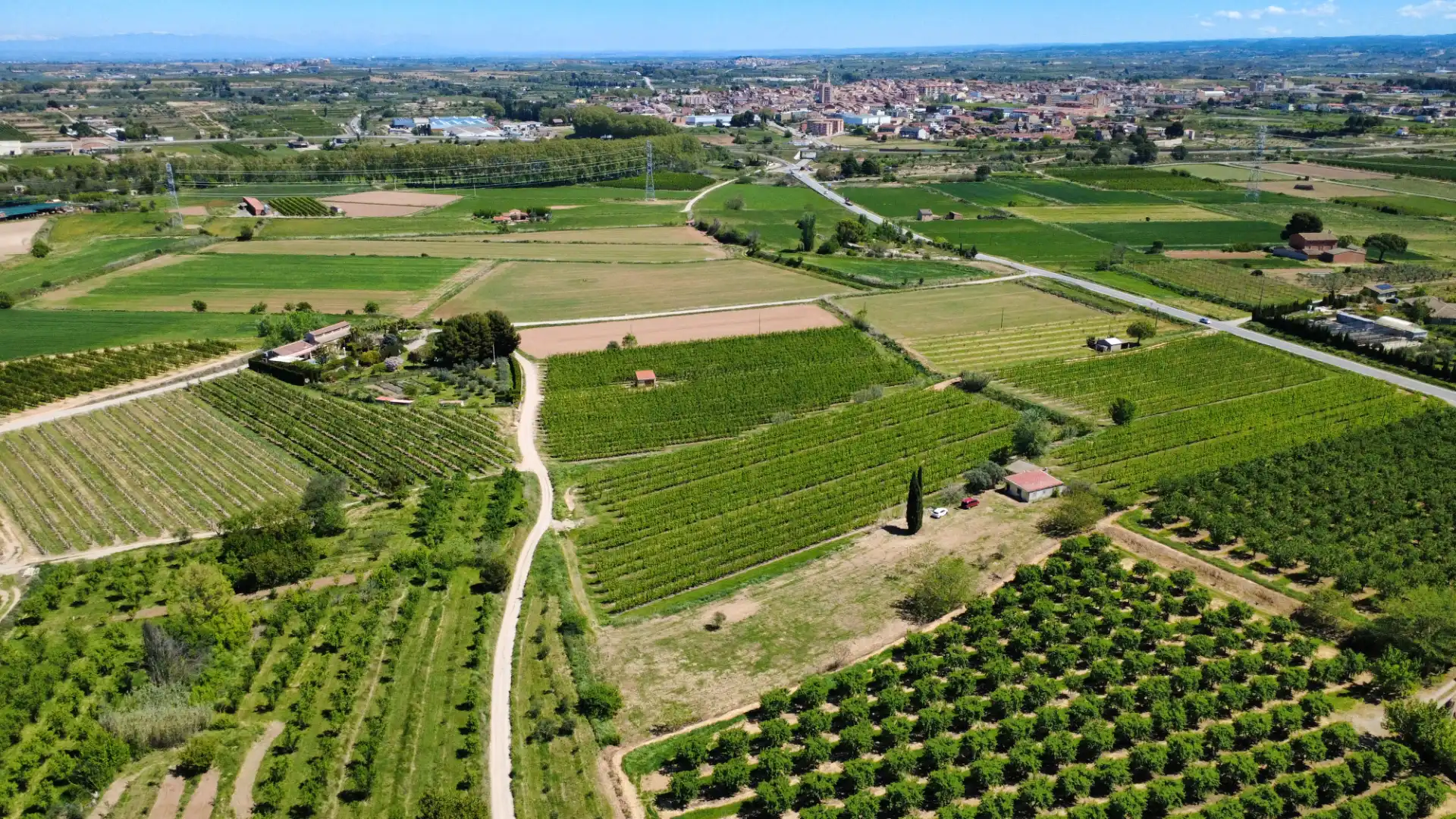 Land for sale in Juneda