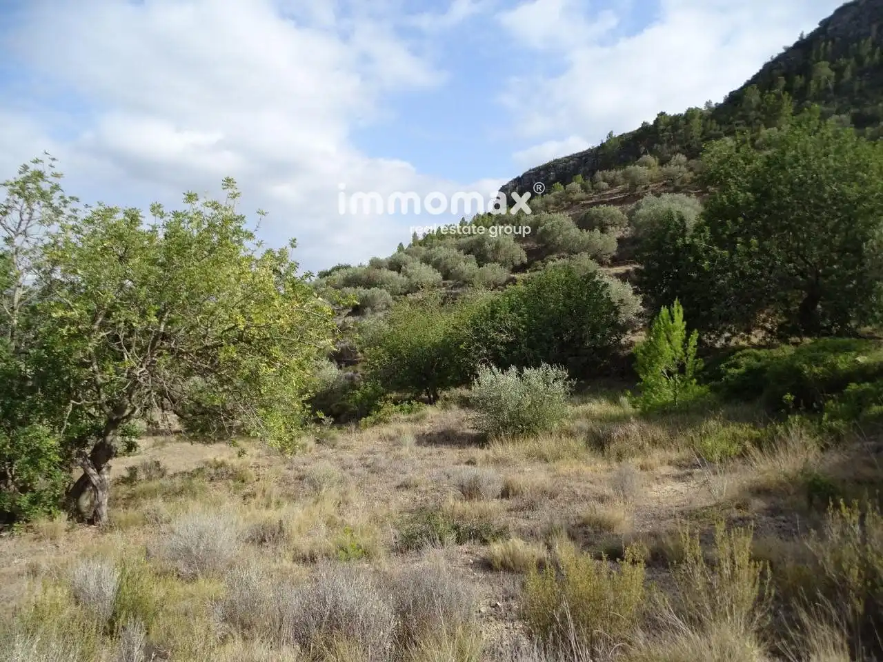 Villa à vendre à Paüls, imagen 5