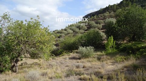 Foto 5 de Casa o chalet en venta en Carrer de Les Escoles, Paüls, Tarragona