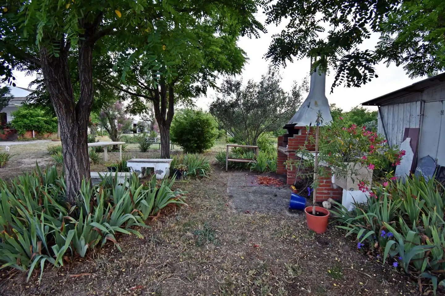 Jardí de Finca rústica en venda en Matapozuelos