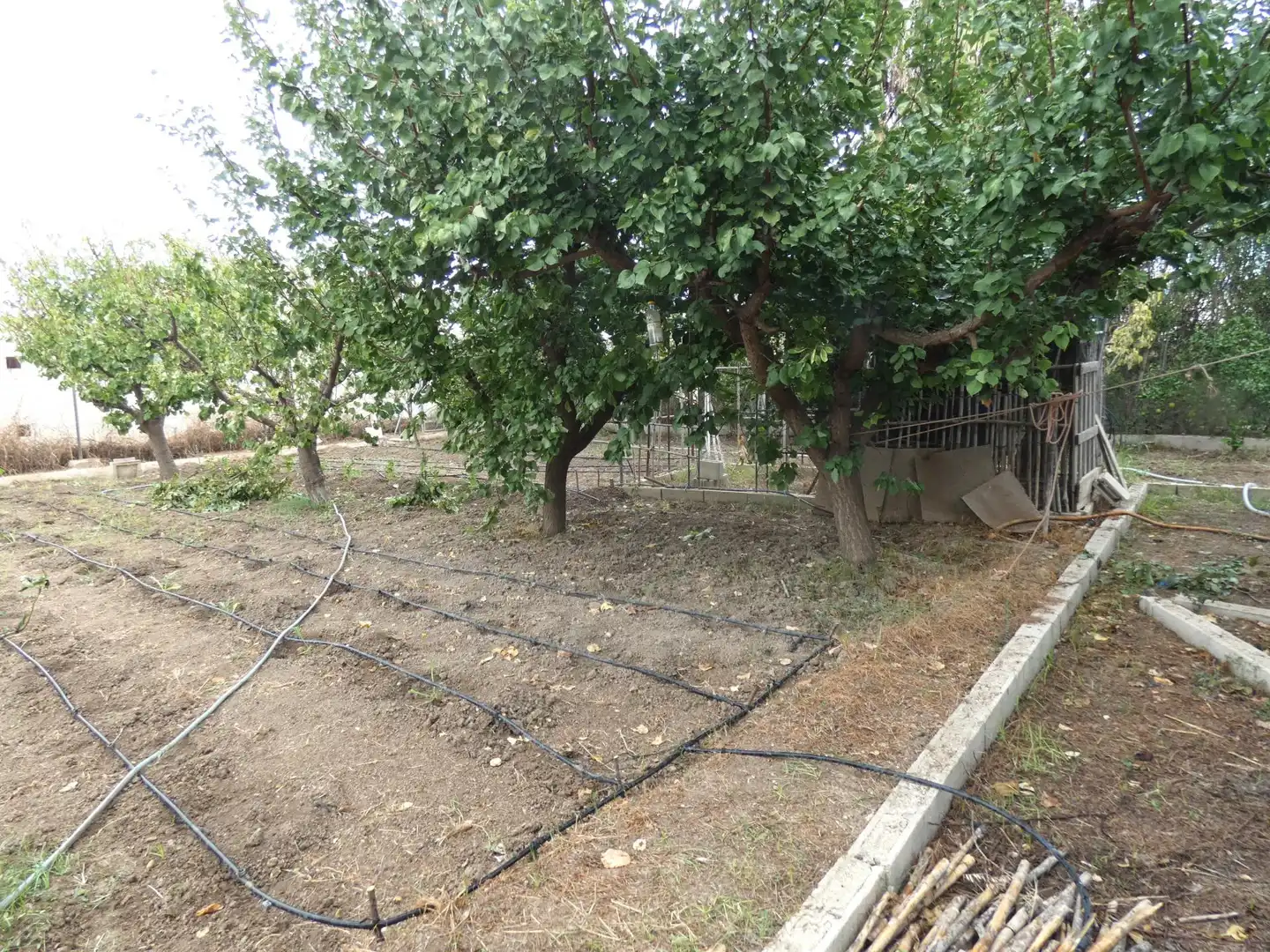 Villa mit Garten zum Verkauf in El Llano, imagen 14