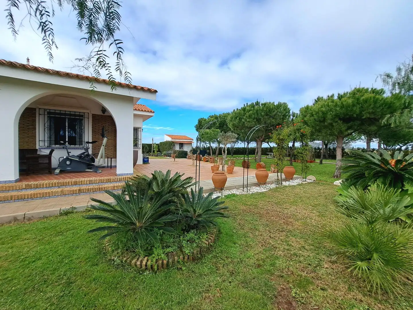 Casa o xalet en venda a Calle Calle de las Zancudas, 38, Isla Canela
