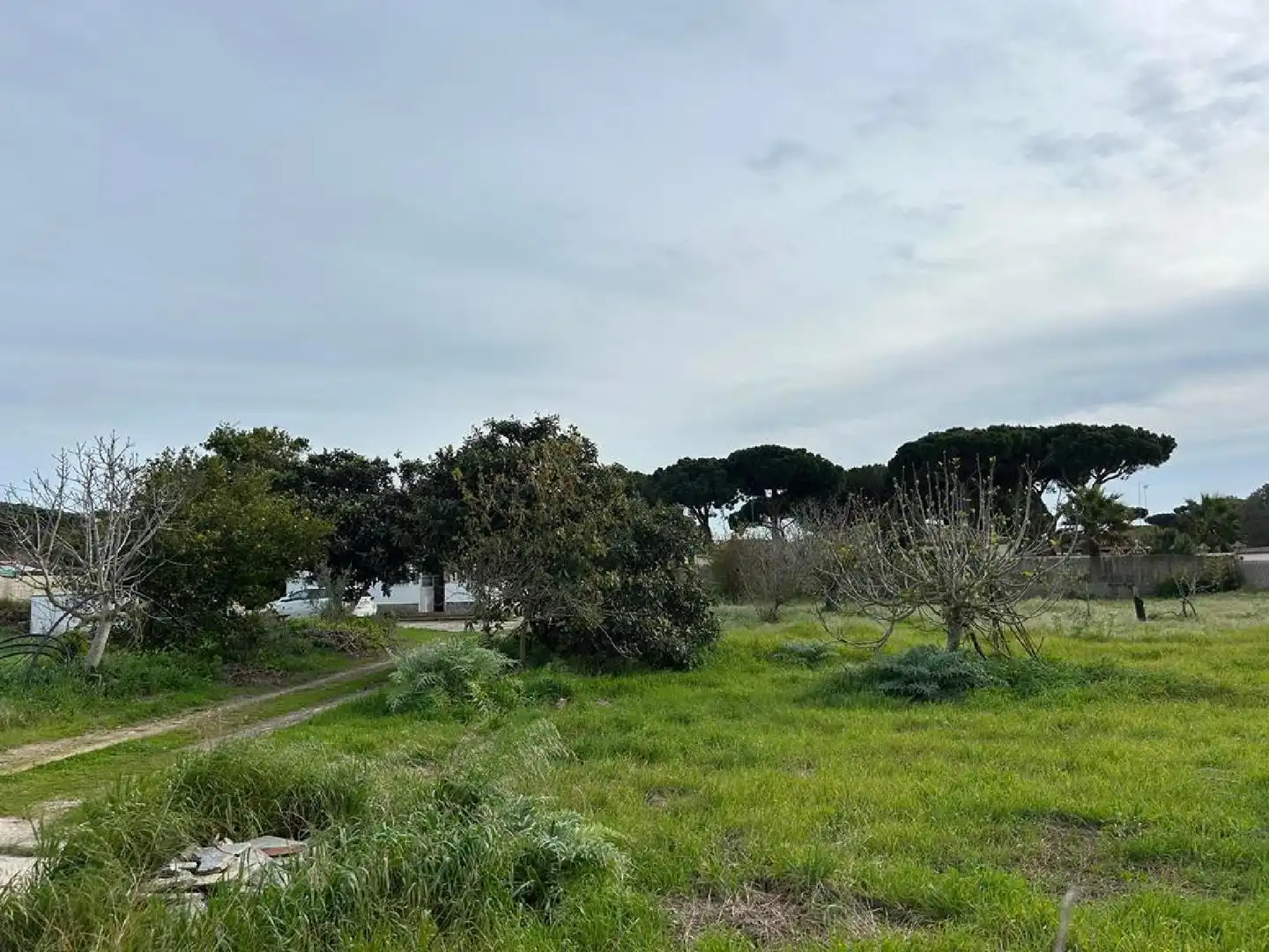 Terrenys i solars en venda a Las Lagunas - Campano, imagen 7