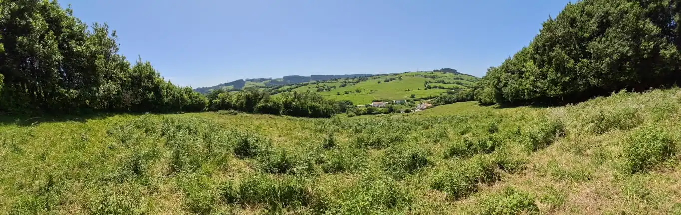Residential for sale in Carreño