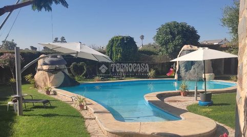 Foto 4 de Finca rústica en venta en Marchena, Sevilla