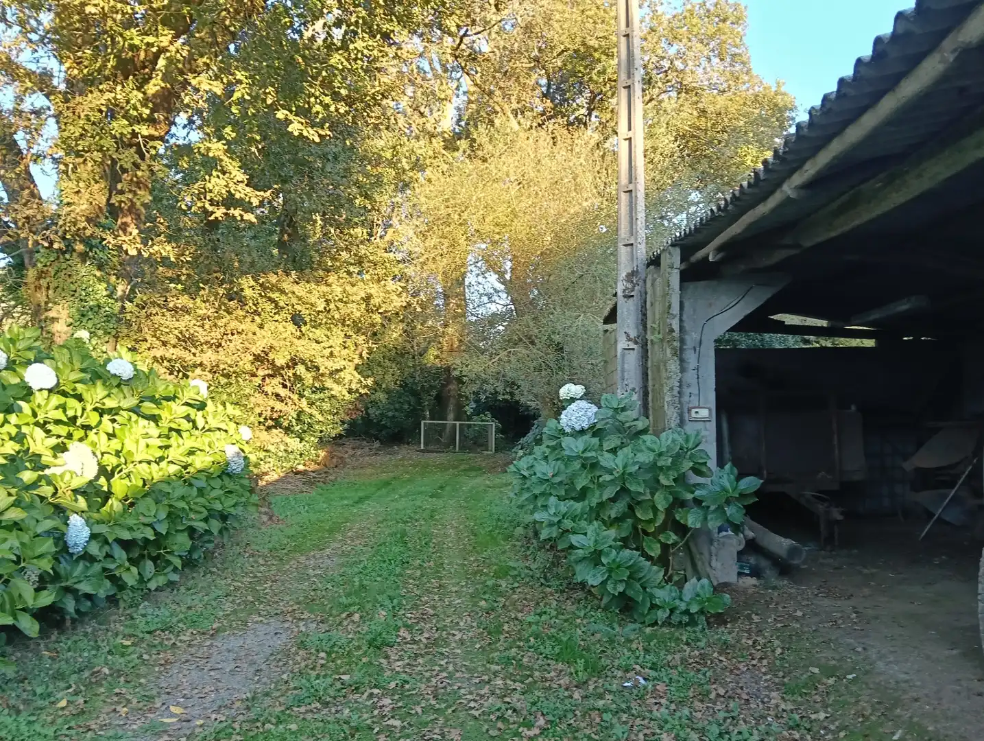 Maison avec jardin à vendre à Cesuras, imagen 21