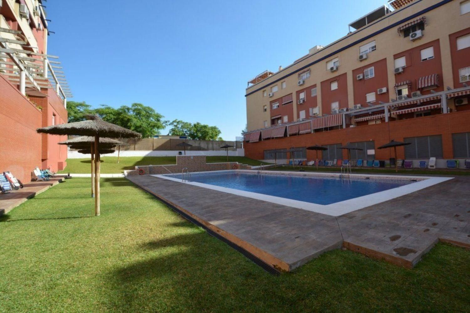 Swimming pool of Duplex to rent in San Juan de Aznalfarache  with Air Conditioner, Heating and Private garden