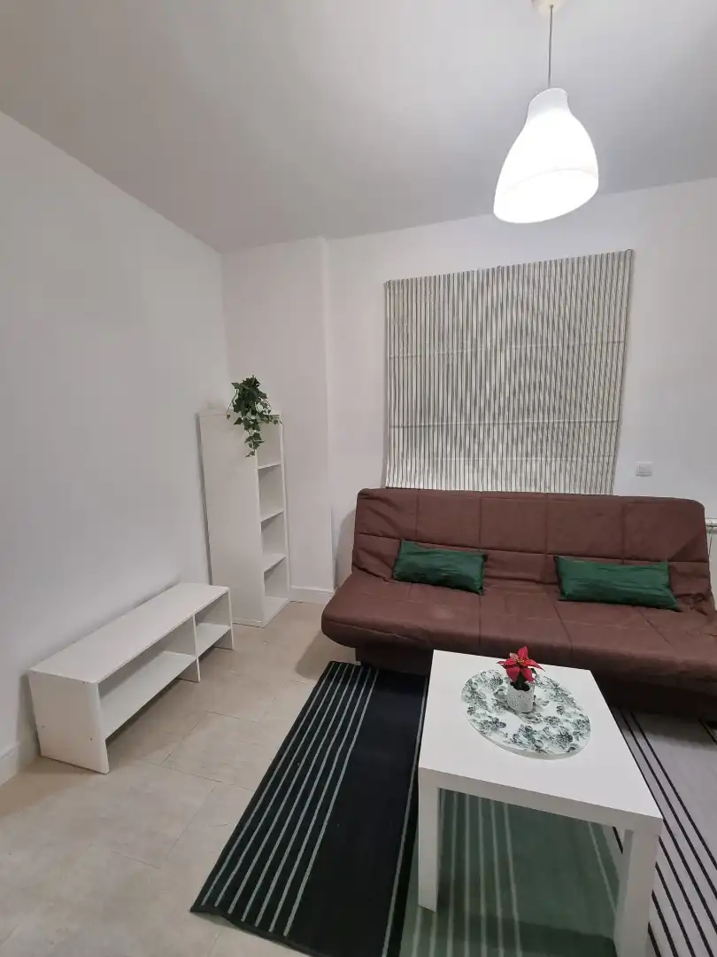 Sala d'estar de Planta baixa de lloguer en Ciempozuelos amb Calefacció, Moblat i Forn