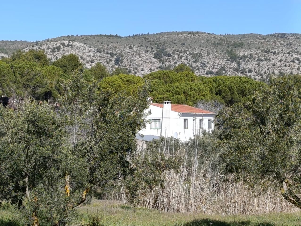 Vista exterior de Finca rústica en venda en Alcoy / Alcoi