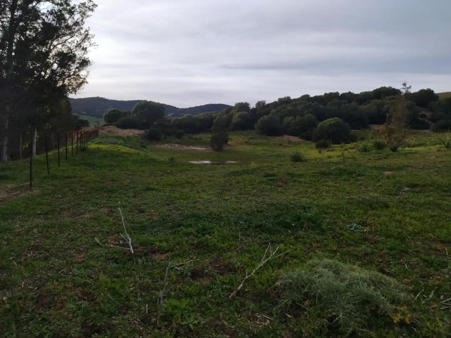 Terreni e lotti in vendita a Medina Sidonia, imagen 20
