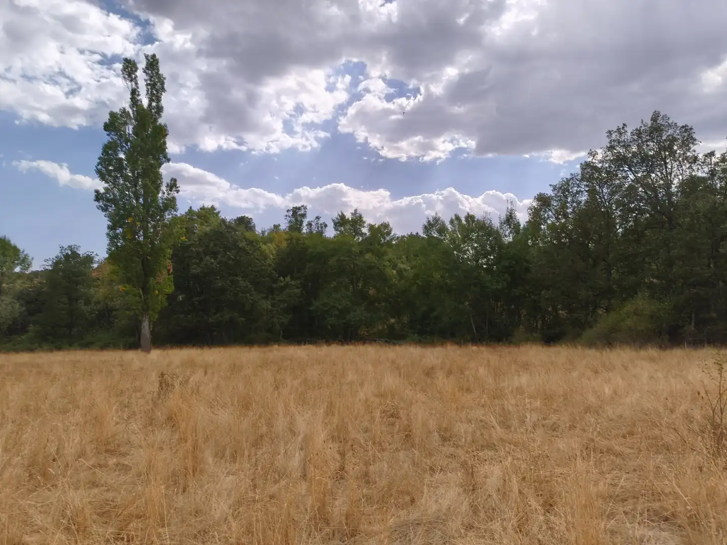 Terreno en venta en Piñuécar-Gandullas