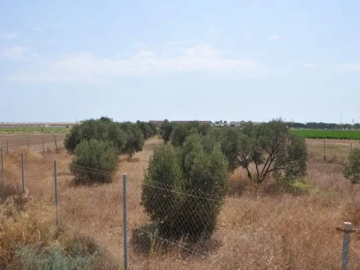 Grundstücke zum Verkauf in Los Alcázares