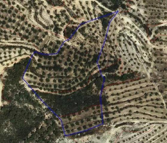 Terreno en Venta en Bovera