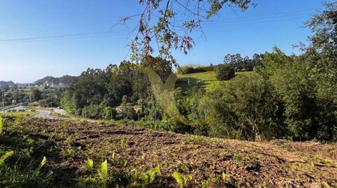 Terreno a 3 kilómetros de Ribadesella., immagine 4