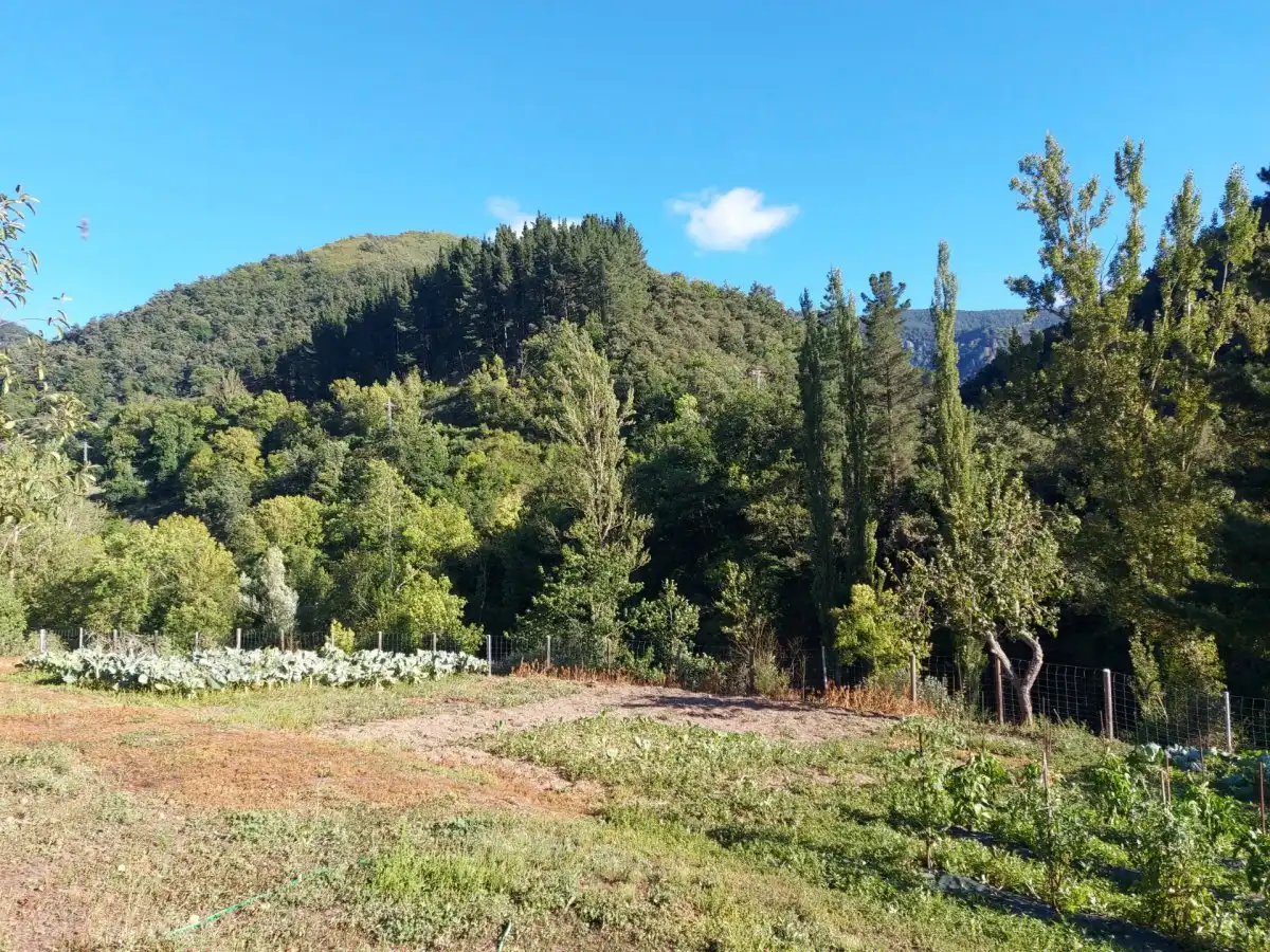 Jardí de Finca rústica en venda en Pesaguero amb Jardí privat
