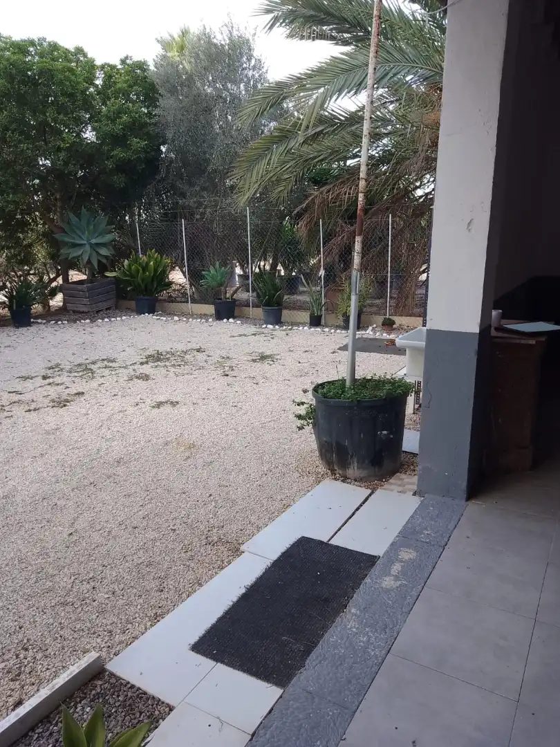 Terraza de Casa o chalet de alquiler en Elche / Elx con Se aceptan mascotas